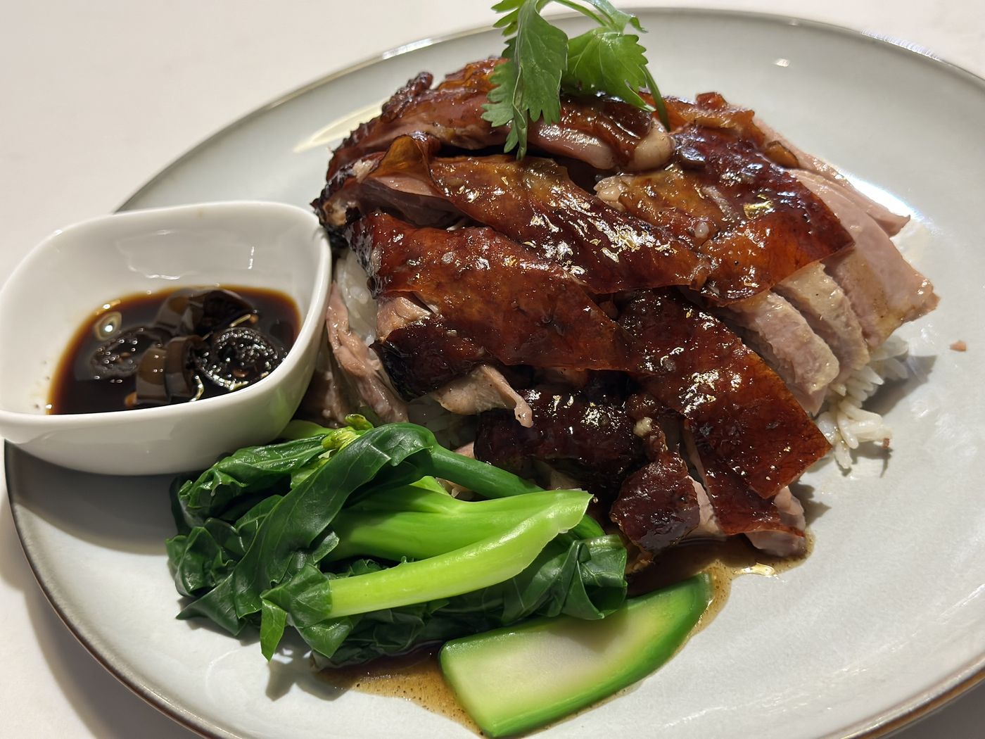 Roasted duck over rice with bok choy and a side of sauce